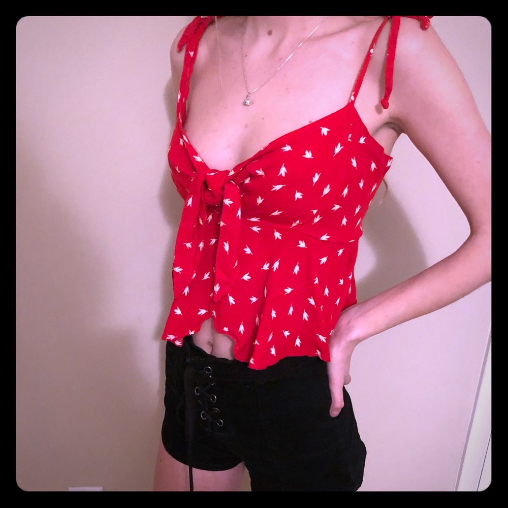 Olivaceous Red Crop Top